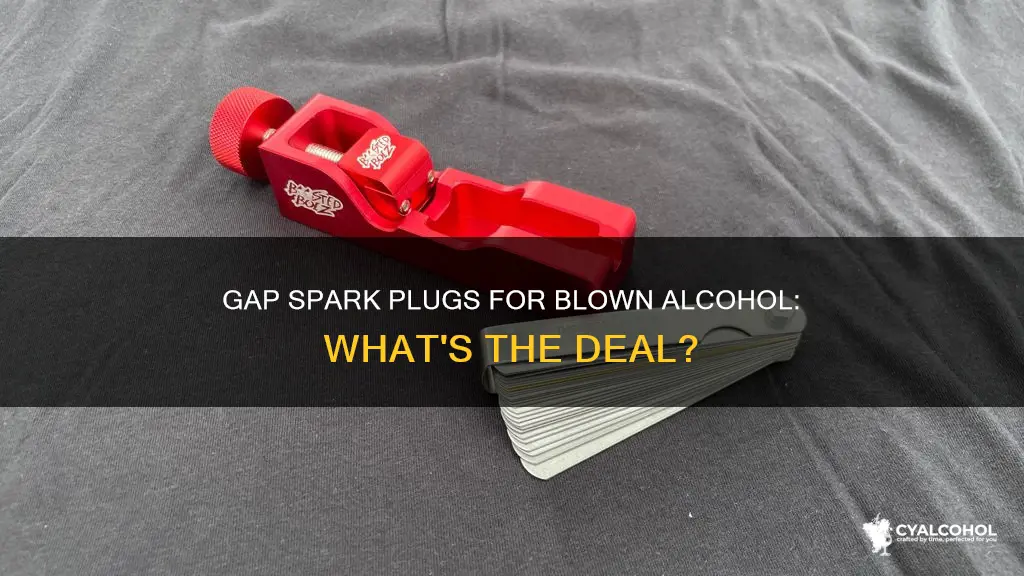 what do you gap spark plugs for blown alcohol