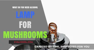 Why Alcohol Lamps Are Essential for Growing Mushrooms at Home
