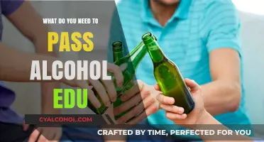 Essential Requirements to Successfully Complete Alcohol Education Programs