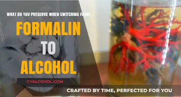 Preserving Tissue Samples: Formalin vs Alcohol