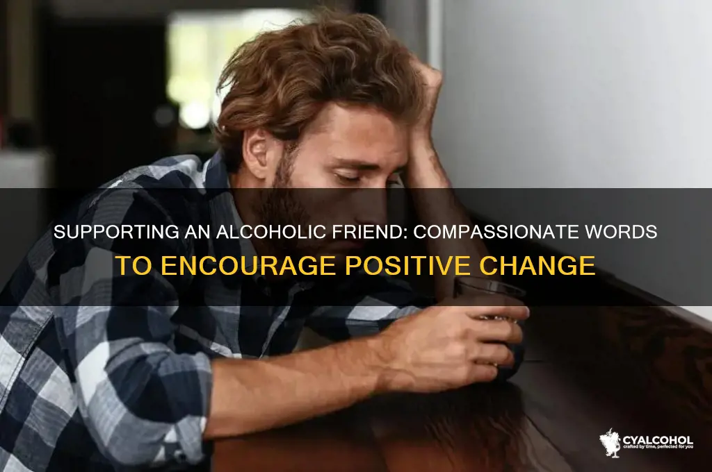 what do you say to an alcoholic friend