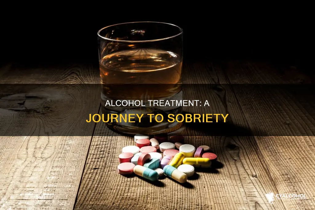 what do you see when a alcoholic is under treatment