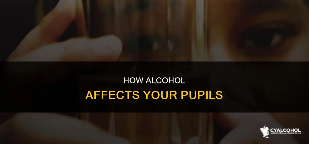 what do your pupils do when you gave alcohol