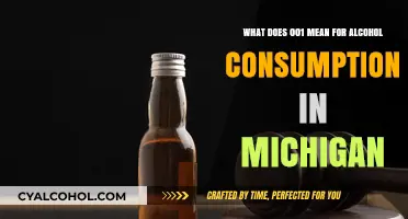 Understanding Michigan's Alcohol Laws: The 001 Code