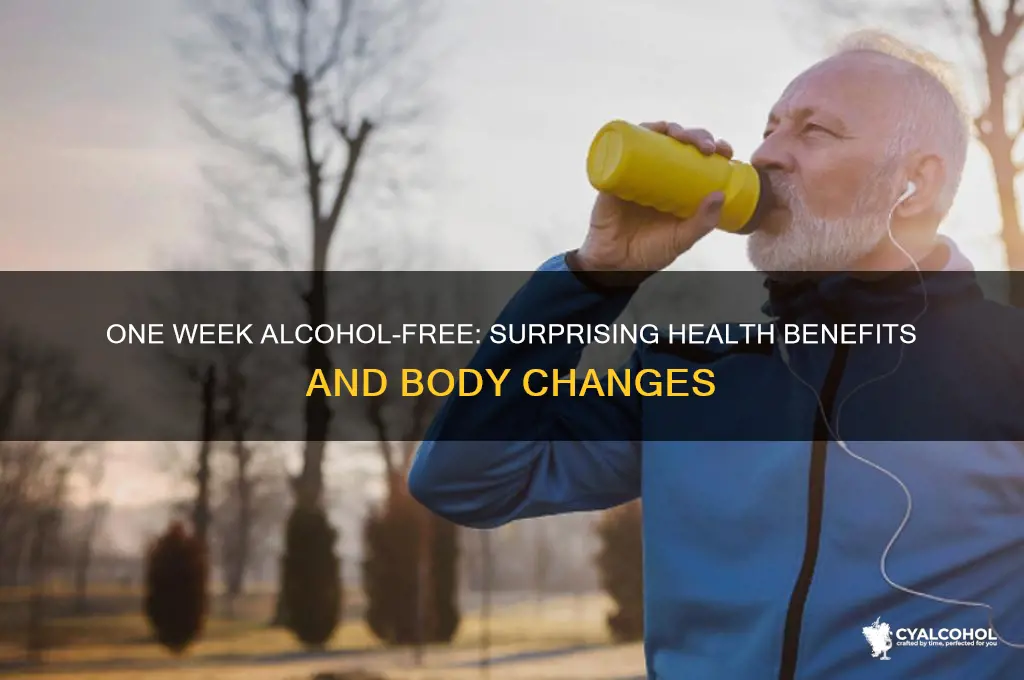 what does 1 week of no alcohol do