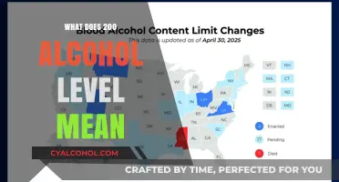 Understanding the Dangers of a 200 Alcohol Level: Risks Explained
