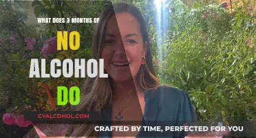 Transforming Health: Three Months Alcohol-Free and Its Surprising Benefits