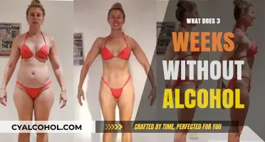 Transforming Health: My 3-Week Alcohol-Free Journey and Its Impact