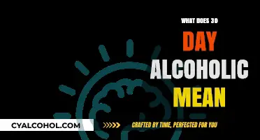 Understanding the 30-Day Alcoholic Challenge: Meaning and Implications