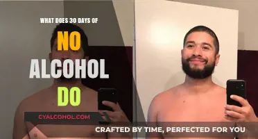 Sober Transformation: Unveiling the Benefits of a 30-Day Alcohol Break
