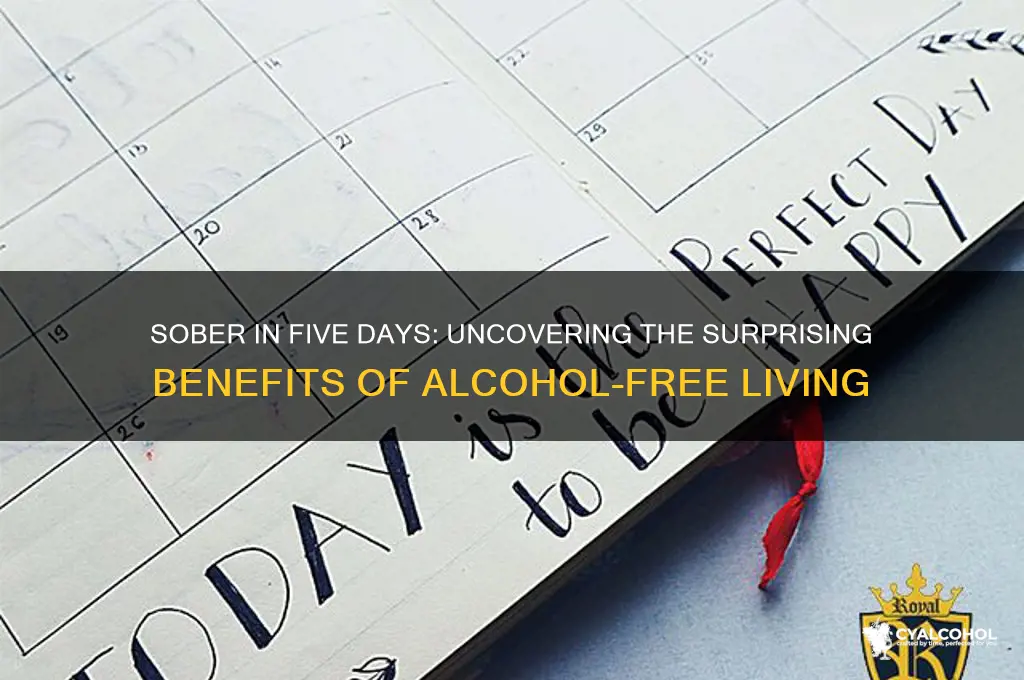 what does 5 days of no alcohol do