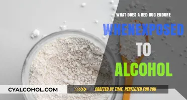 Bed Bugs: Alcohol's Effect Explained