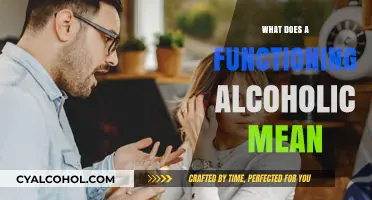 Understanding Functioning Alcoholics: Signs, Risks, and Seeking Help