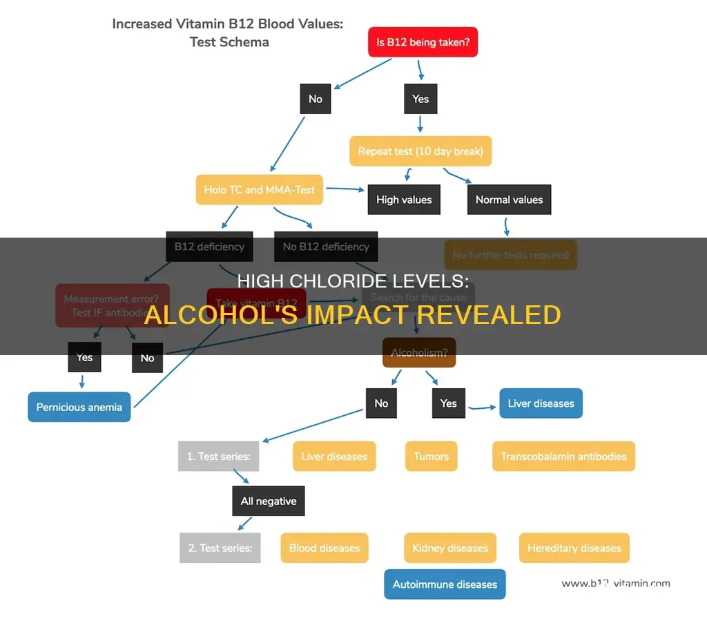 what does a high chloride level mean with an alcoholic