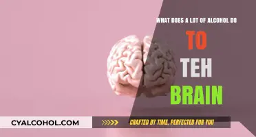 Alcohol's Impact: Brain Changes and Challenges