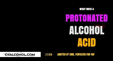 Understanding Protonated Alcohol Acids: Structure, Formation, and Chemical Significance