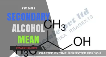 Understanding Secondary Alcohols: Definition, Structure, and Key Characteristics