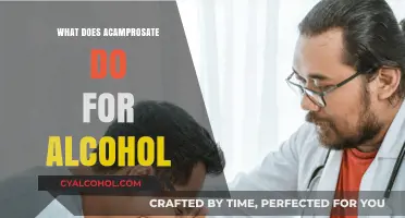 Acamprosate's Role in Alcohol Recovery: Mechanism and Benefits Explained