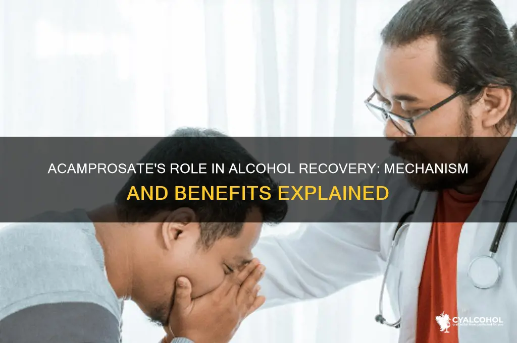 what does acamprosate do for alcohol