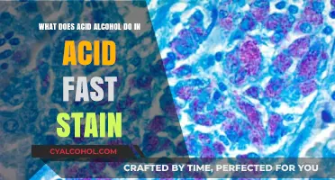 Acid-Alcohol's Role in Acid-Fast Stain Procedures