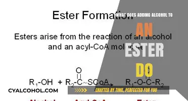How Alcohol Addition Transforms Ester Properties and Reactions Explained