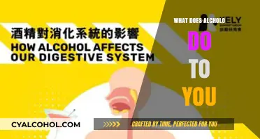 Understanding Alcohol's Impact: Effects on Your Body and Mind Explained