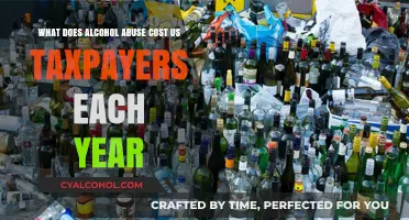 Alcohol Abuse: A Costly Affair for Taxpayers