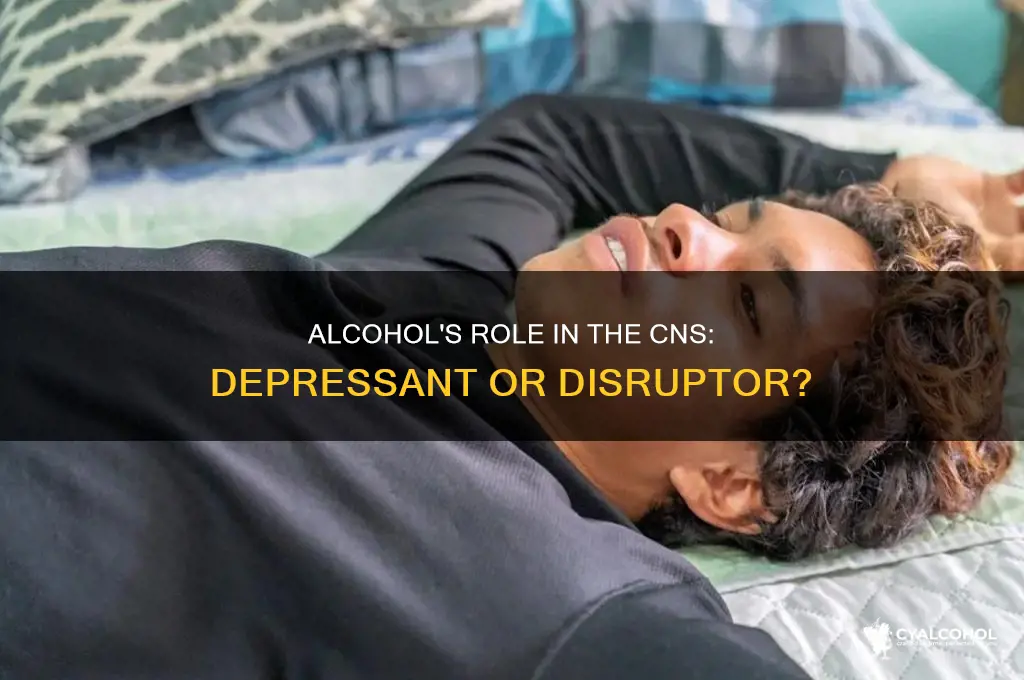 what does alcohol act as in the cns