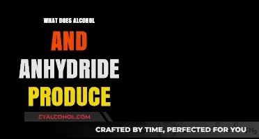 Alcohol and Anhydride Reaction: Understanding the Chemical Products Formed