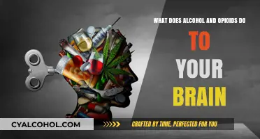 Alcohol and Opioids: Rewiring Your Brain