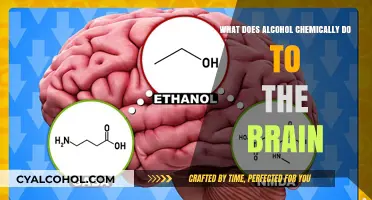 Unveiling Alcohol's Impact: How Ethanol Alters Brain Chemistry and Function