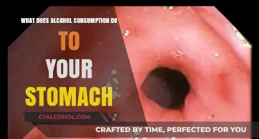 How Alcohol Affects Your Stomach: Digestion, Health, and Risks Explained