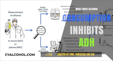 How Alcohol Consumption Inhibits ADH: Understanding the Hormonal Impact