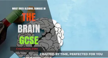 Alcohol's Impact: Uncovering Brain Damage for GCSE Students