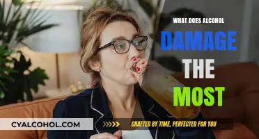 Alcohol's Devastating Impact: Organs, Brain, and Long-Term Health Effects