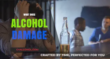 Unveiling Alcohol's Harm: How Drinking Damages Your Body and Mind