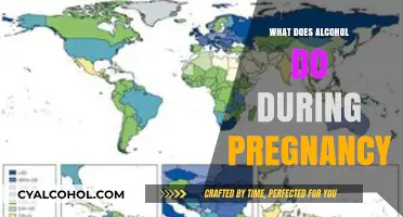 Alcohol and Pregnancy: Understanding the Risks and Impact on Fetal Health