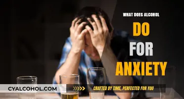 Alcohol and Anxiety: Temporary Relief or Long-Term Harm?