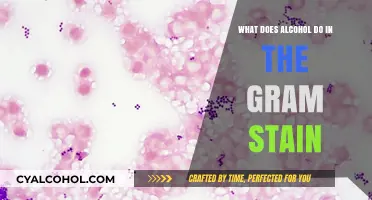 Alcohol's Role in Gram Staining: Decoding Its Impact on Bacteria