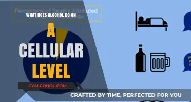 Unveiling Alcohol's Cellular Impact: How It Affects Your Body's Building Blocks