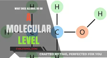 Unveiling Alcohol's Molecular Impact: How Ethanol Alters Cells and Brain Chemistry