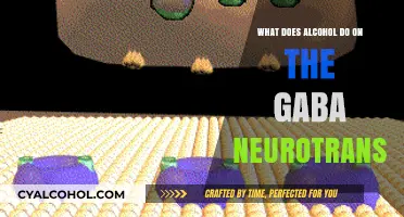 Alcohol's Impact on GABA: Unraveling the Neurotransmitter Connection