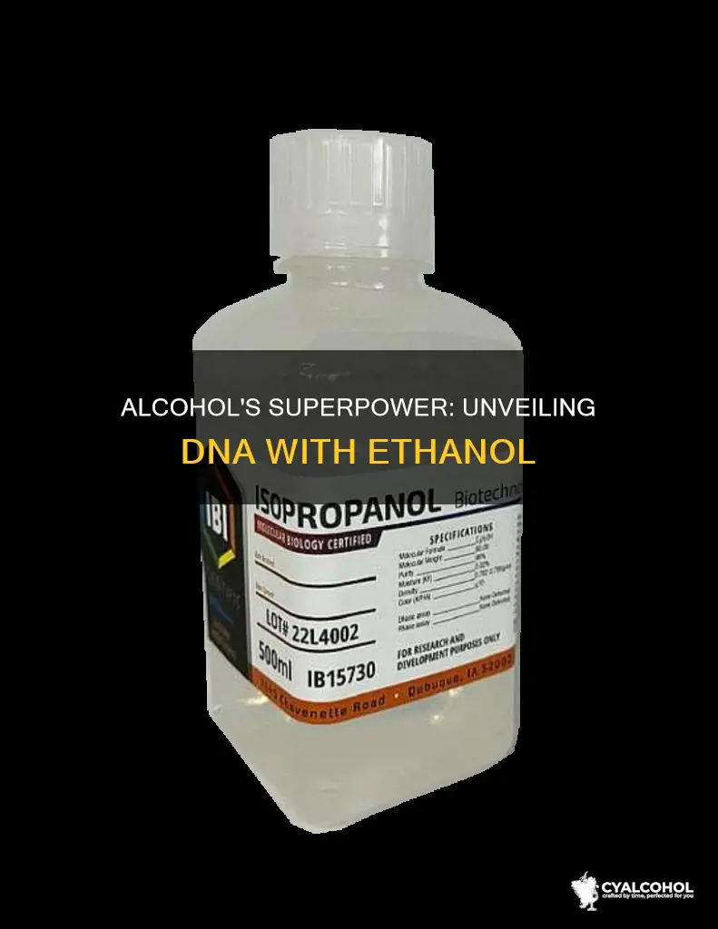 what does alcohol do that allows you to see dna