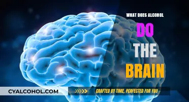 How Alcohol Affects the Brain: Understanding Its Impact and Risks