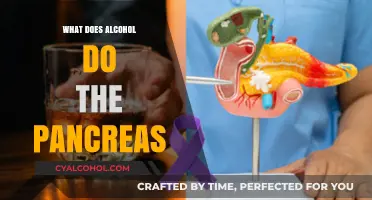 Alcohol's Impact on Pancreatic Health: Risks and Consequences Explained
