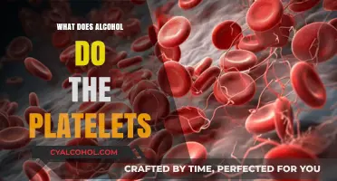 How Alcohol Affects Platelet Function and Blood Clotting Risks