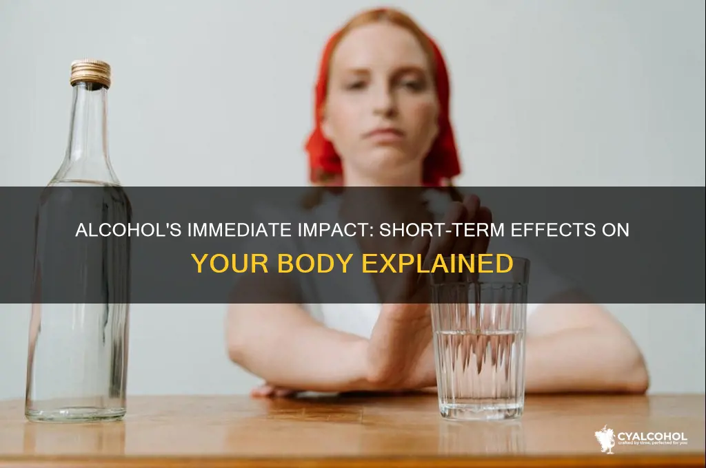 what does alcohol do tltne bod short termh