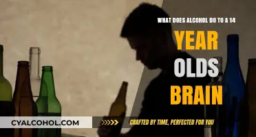 Alcohol's Impact on the Developing Teenage Brain