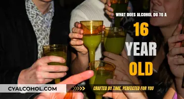 Alcohol's Impact on Teen Brains: What You Need to Know