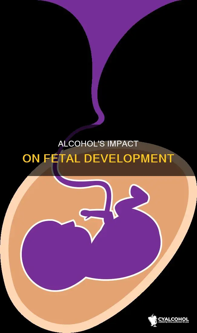 what does alcohol do to a baby in the womb